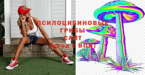 2c-b Аркадак