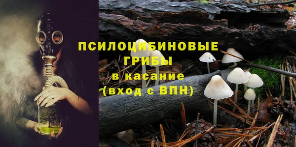 2c-b Аркадак