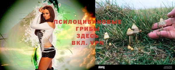 соль ск Арсеньев