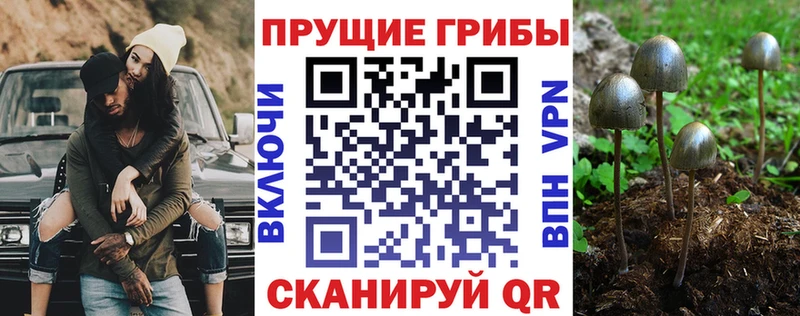 Галлюциногенные грибы Cubensis  Межгорье 